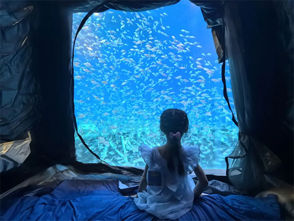 8月2日海洋夜宿火熱招募！與魚共眠的浪漫奇遇名額有限，速來！
